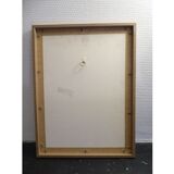 Natural History Color Lithography Pic Épeichette 1929