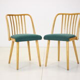 1960s Antonin Suman Set of Four Dining Chairs, Czechoslovakia