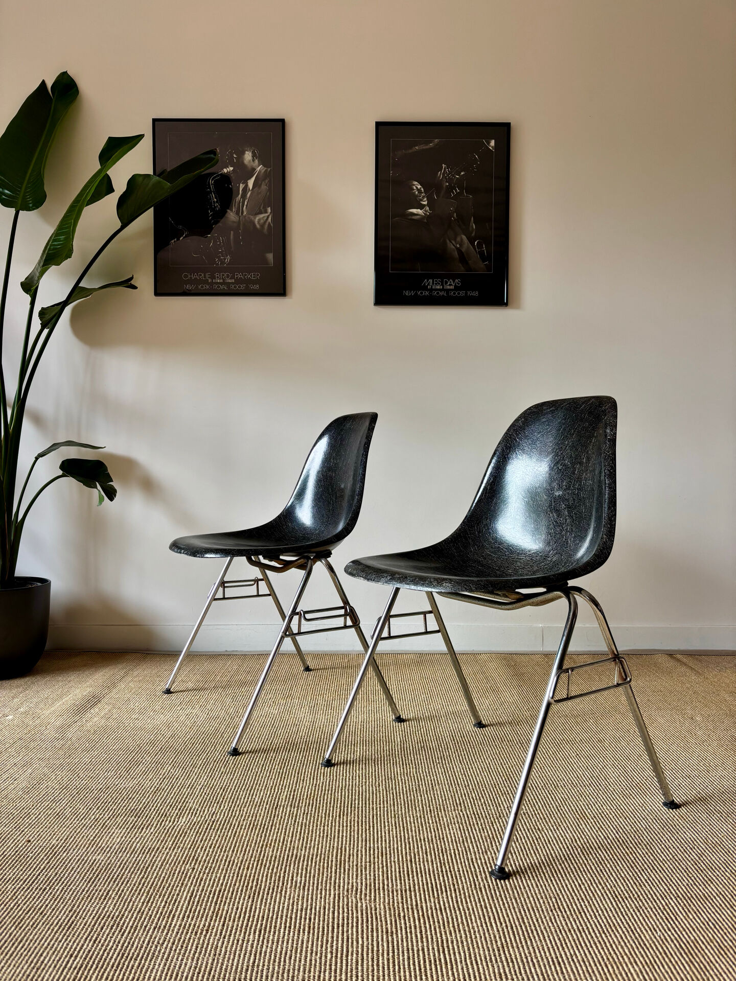 Eames DSS chairs (ed. Herman Miller - fibreglass)