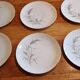 Plates