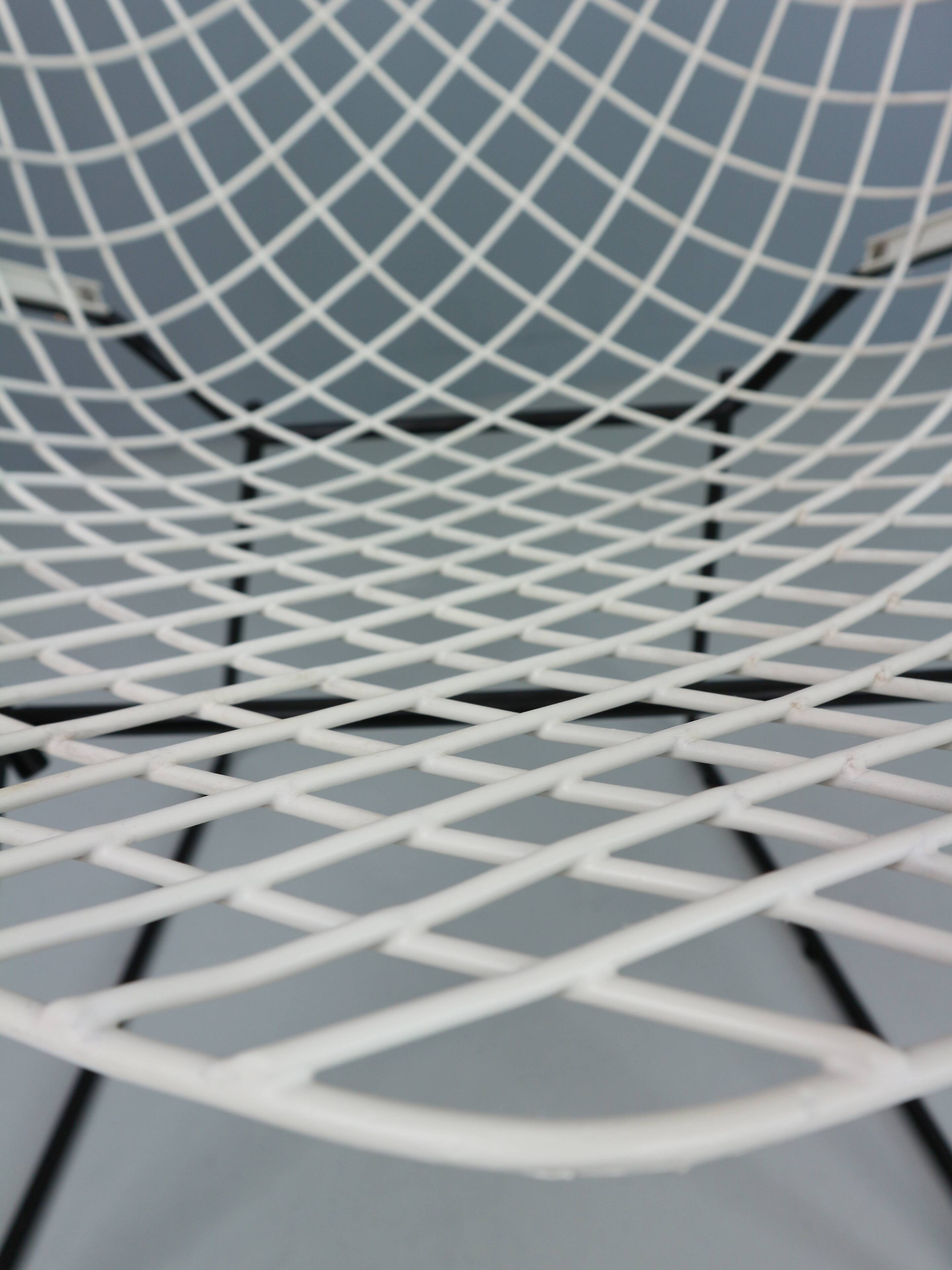 Set of two Diamond chair by Harry Bertoia in white & black metal. 1960s