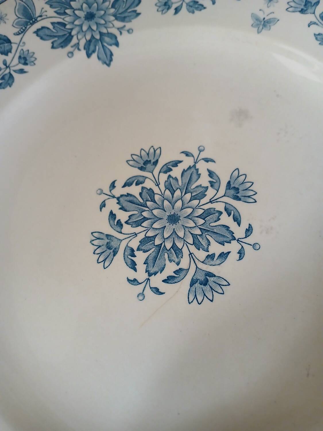 5 old flat plates in Sarreguemines ironstone