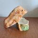 Terrine in Barbotine Michel Caugant. Boar shape.
