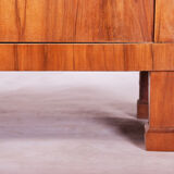 Biedermeier Display Cabinet made in 1830s Germany. Fully Restored Walnut.