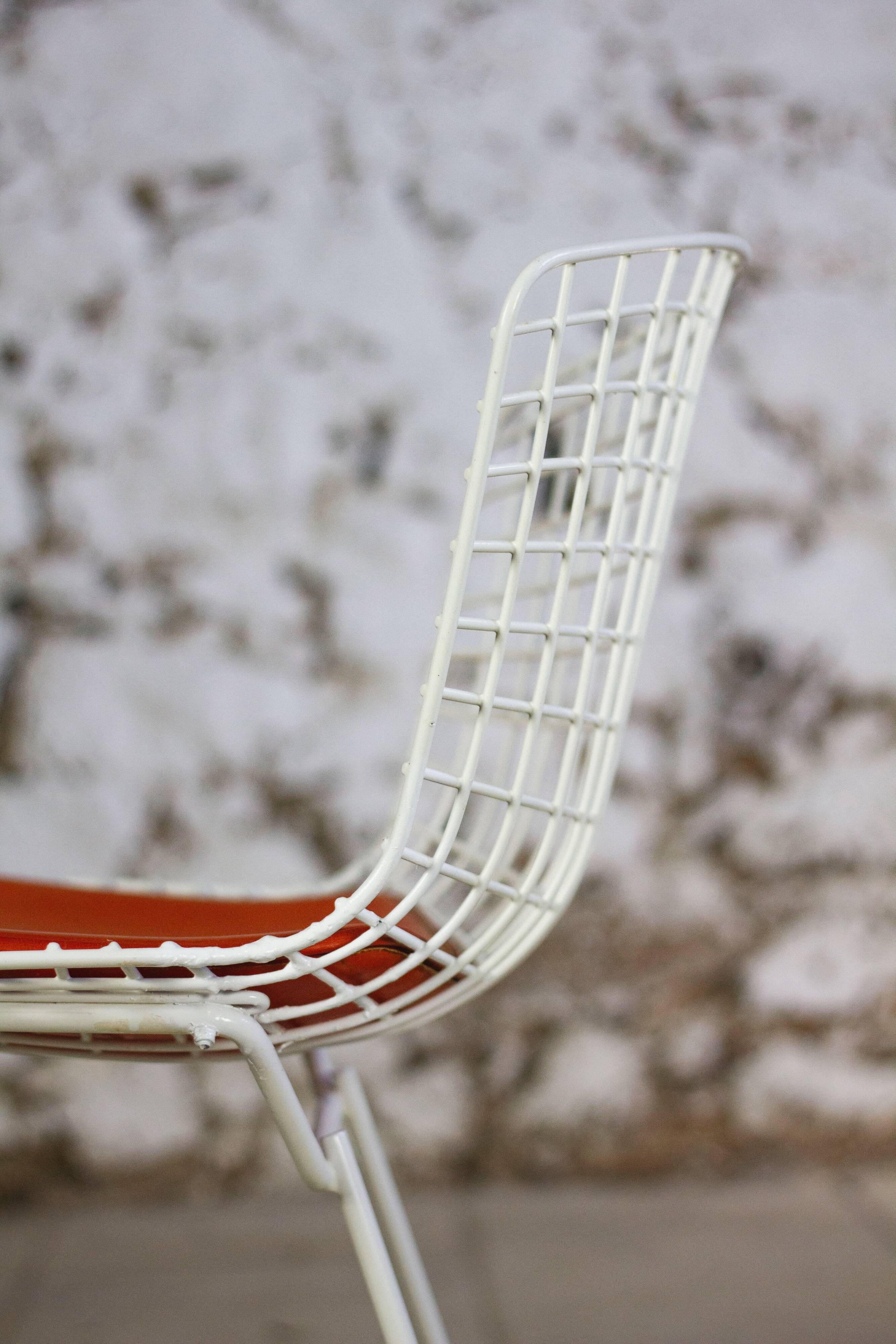 Wire Harry Bertoia chair white