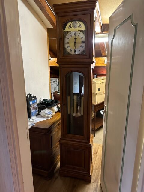 Horloge tempus fugit