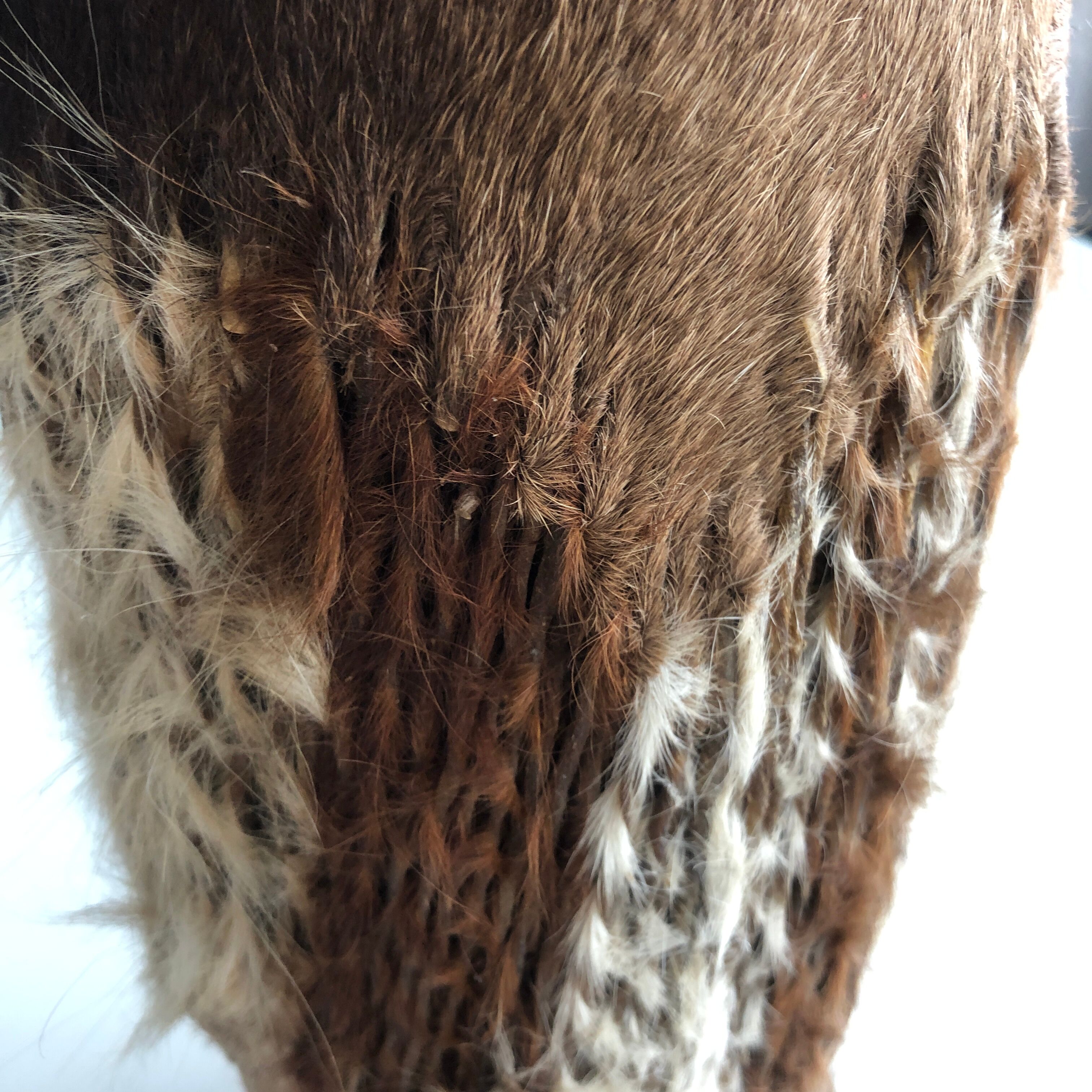 Goatskin drum