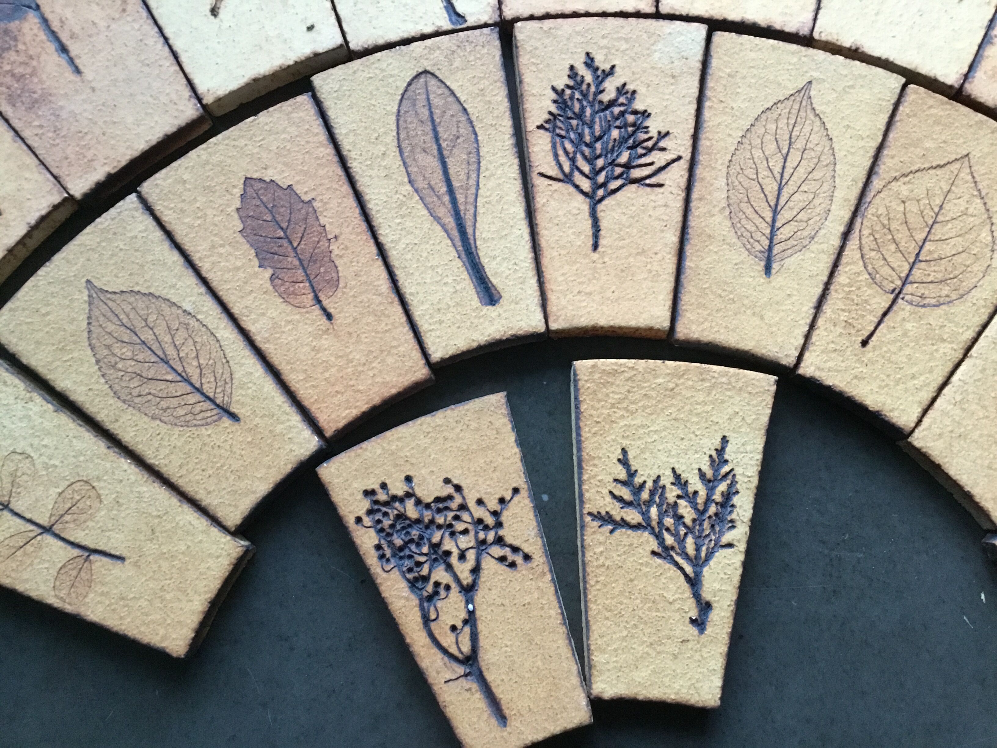 Carreaux herbier Roger Capron