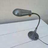 Workshop or desk lamp with hose