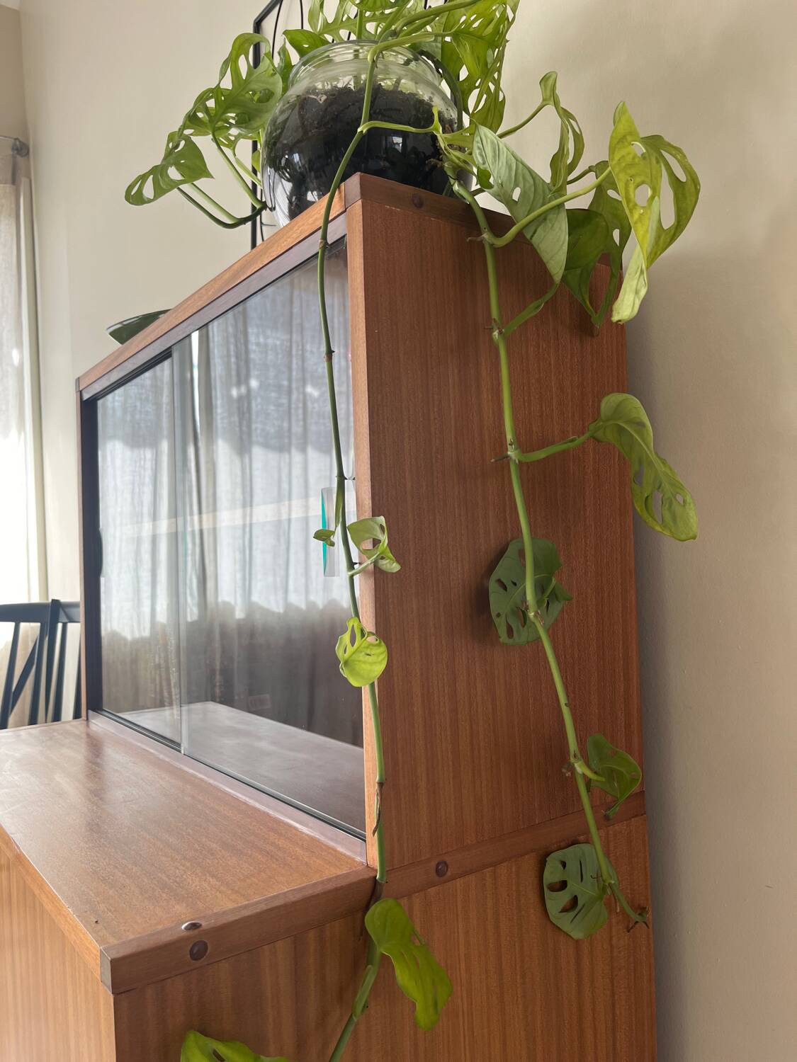 ARP display cabinet by Mortier Motte and Guariche