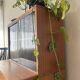 ARP display cabinet by Mortier Motte and Guariche