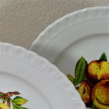 Huit assiettes à dessert anciennes aux motifs multi-fruits