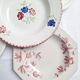 St Amand deep plates, Moulin des Loups