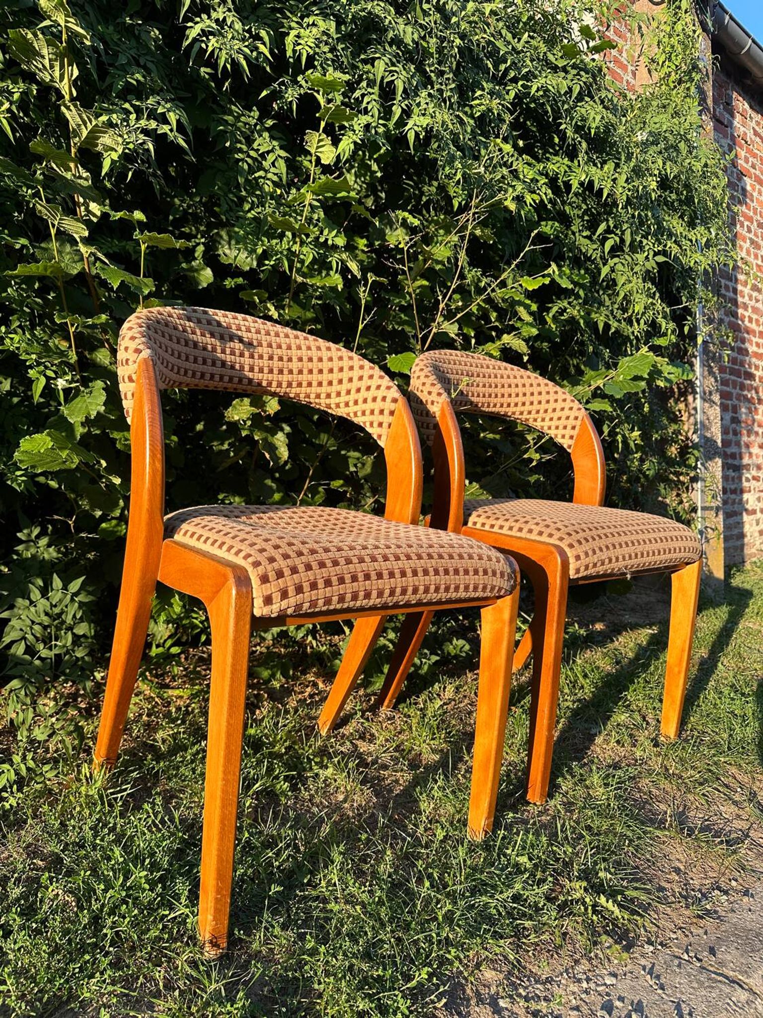 Paire de chaises vintage design années 50/60 style Baumann