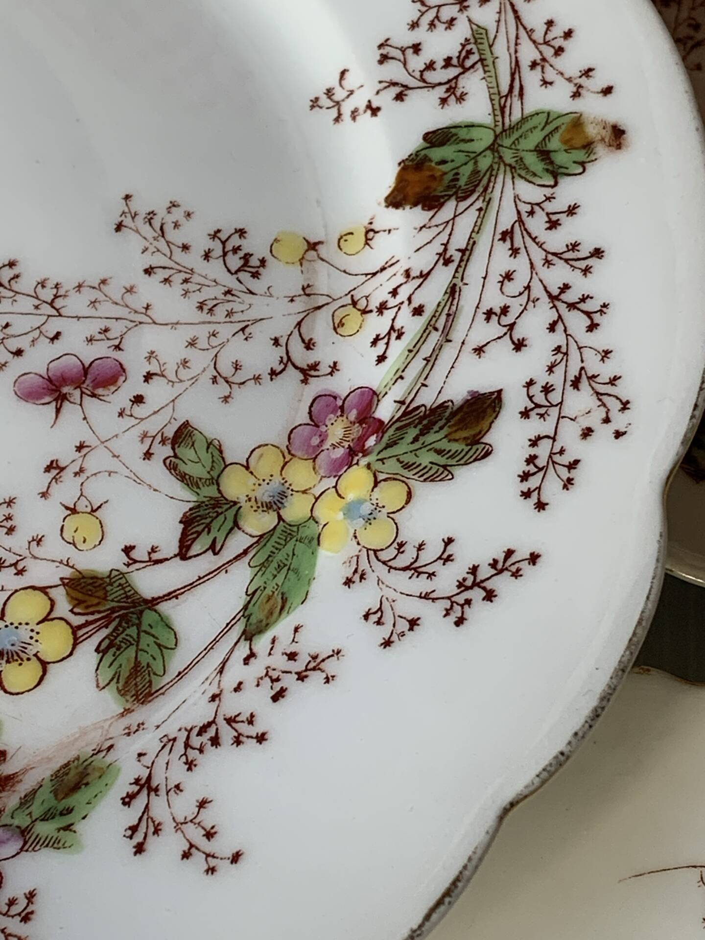 Six assiettes à entrée 1900s fleurs et papillons