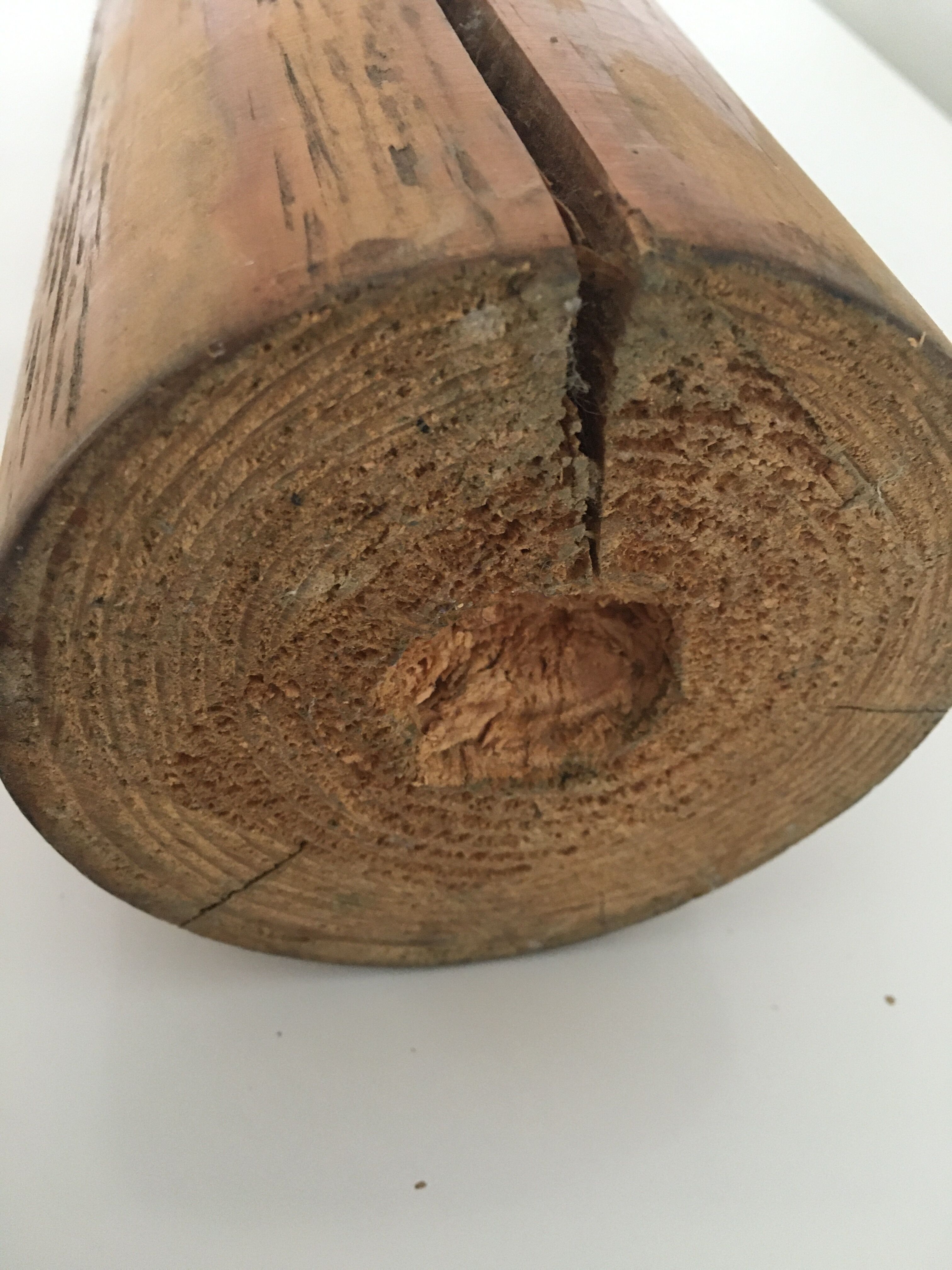 Ancient wooden keel of 53x10