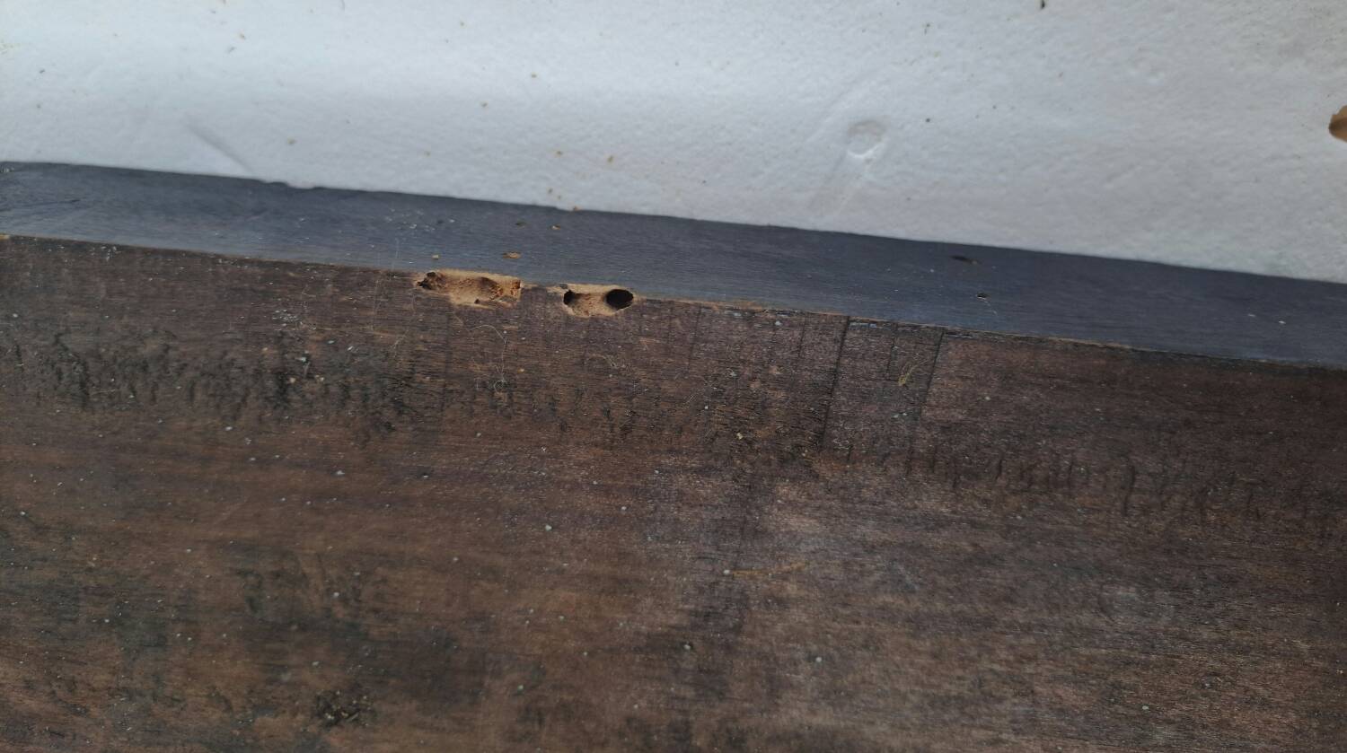 19th century bridal globe