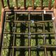 Rattan living room with 2 armchairs, coffee table cushions