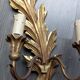 Paire d'appliques en bois doré 19ème feuillages