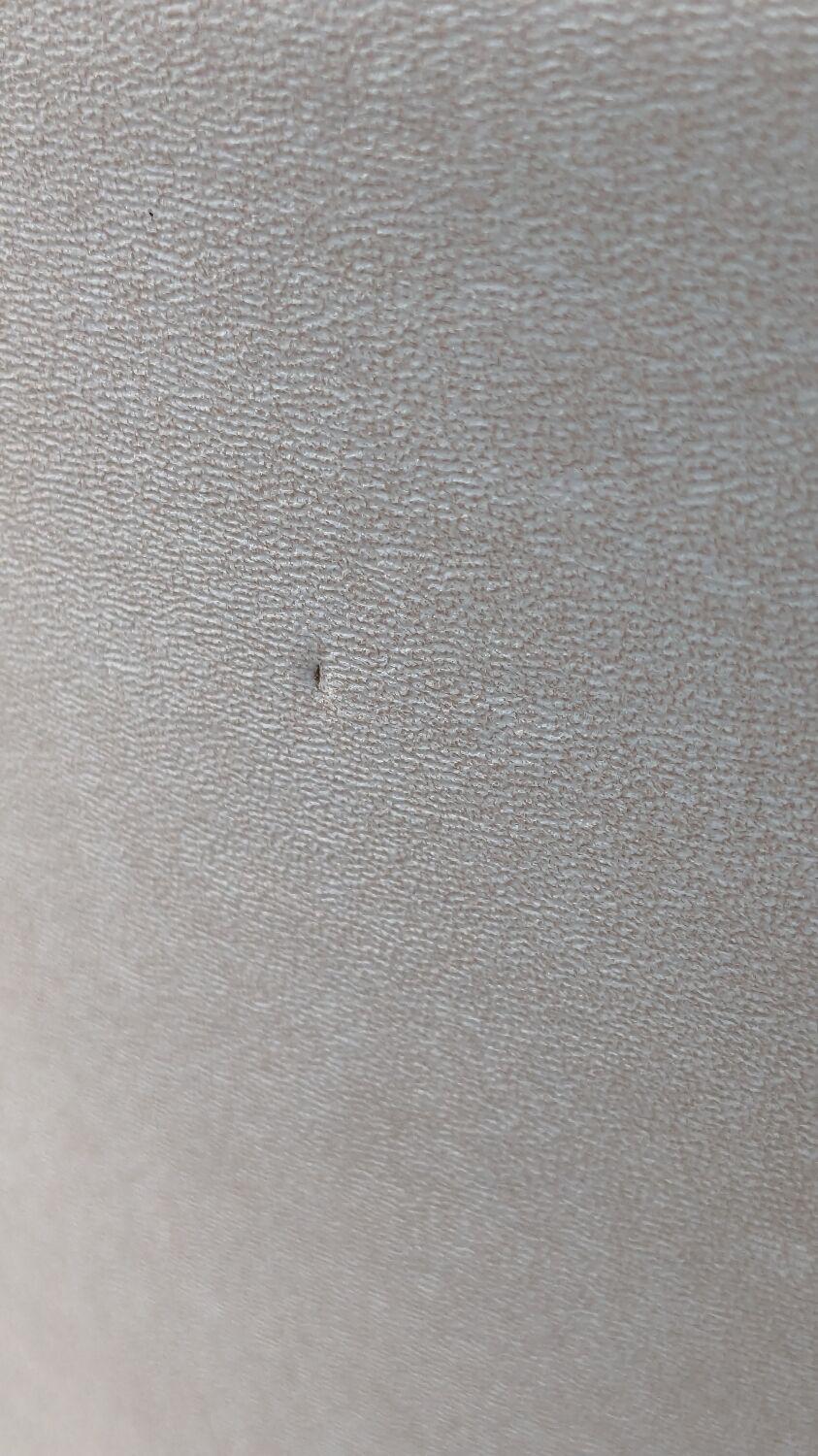 Baumann Essor model chairs