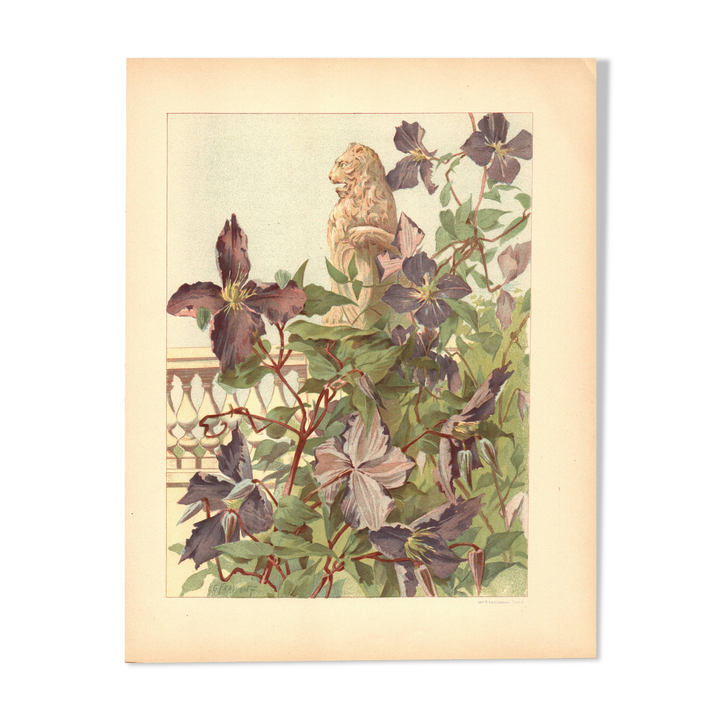 Gravure Art nouveau 1896 - Clématites et statue de lion - Illustration
