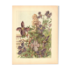 Gravure Art nouveau 1896 - Clématites et statue de lion - Illustration