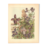Gravure Art nouveau 1896 - Clématites et statue de lion - Illustration