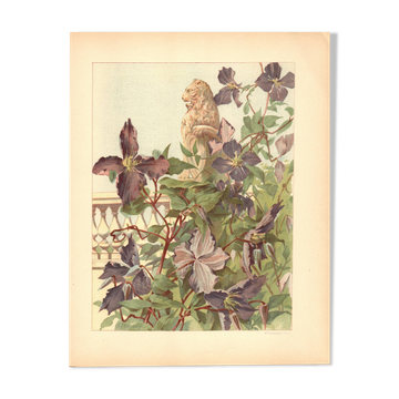 Art Nouveau engraving 1896 - Clematis and lion statue - Illustration