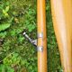 Pair of wooden oars