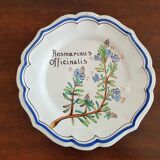 Lot de 3 assiettes motif plantes médicinales