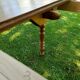 Extendable dining table