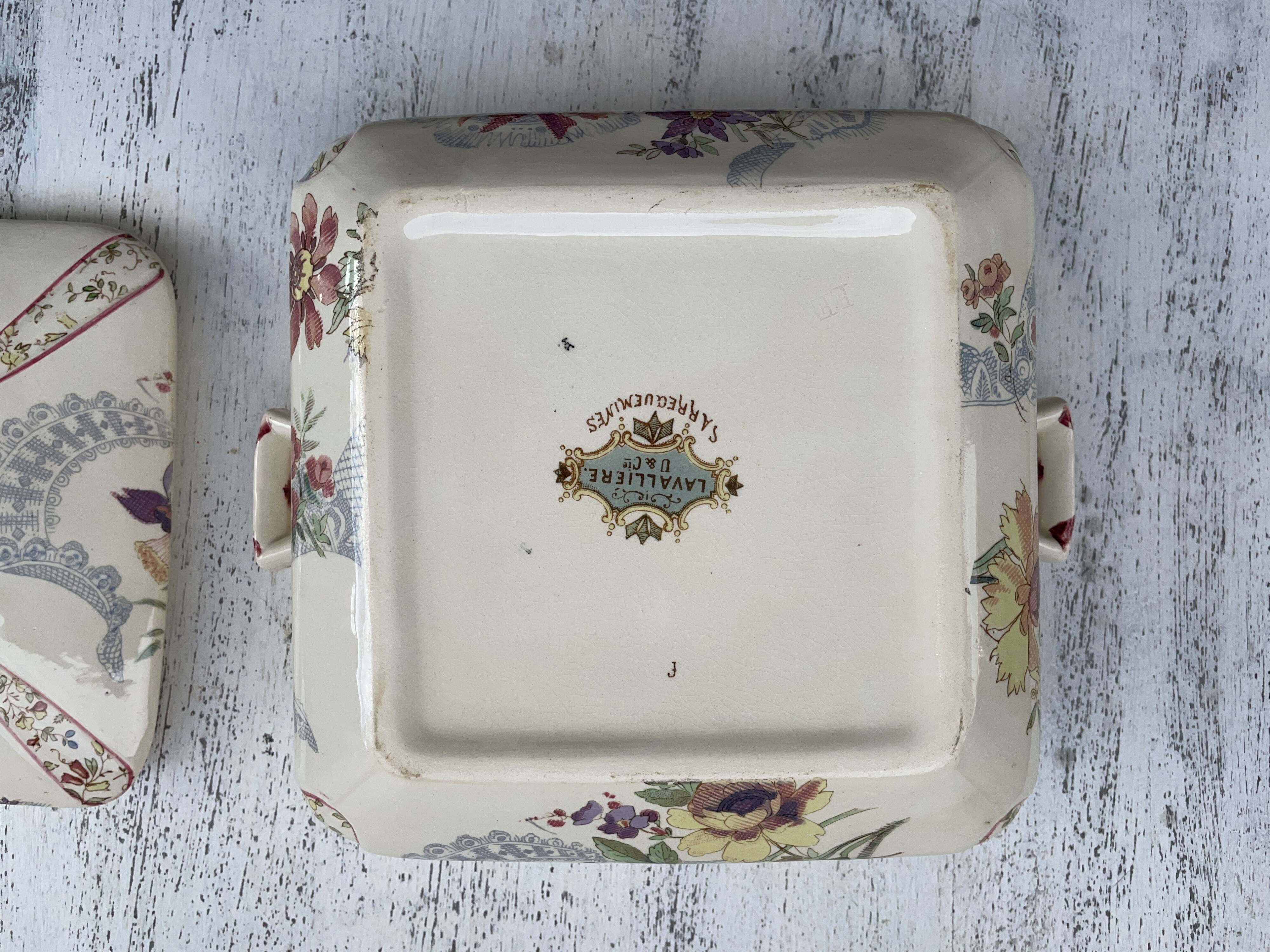 Legumiera Lavalliere