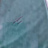 Green sarreguemines fish dish