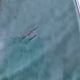 Plat poisson sarreguemines vert
