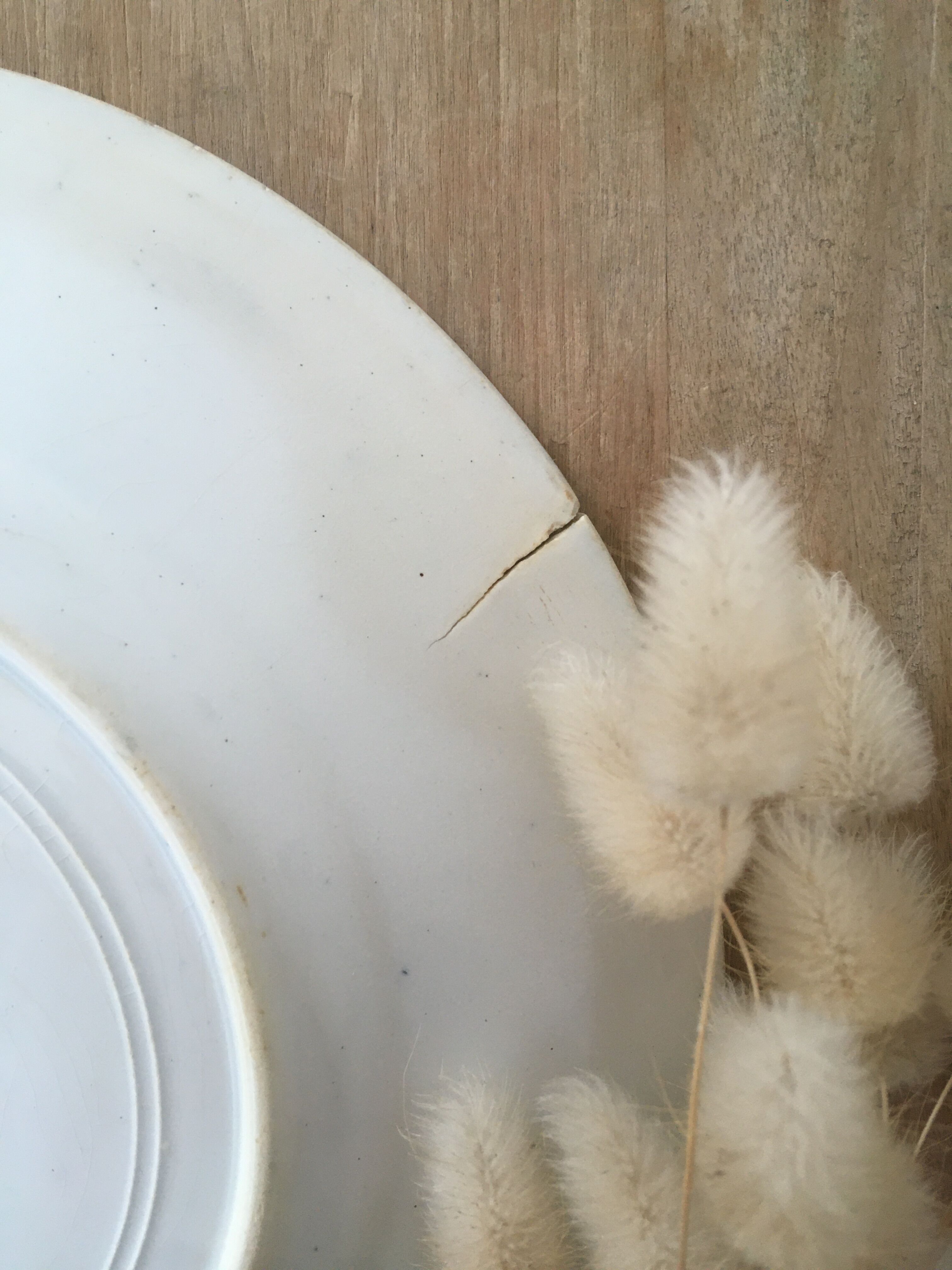 Lot 5 mismatched iron earth flat plates