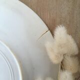 Lot 5 mismatched iron earth flat plates