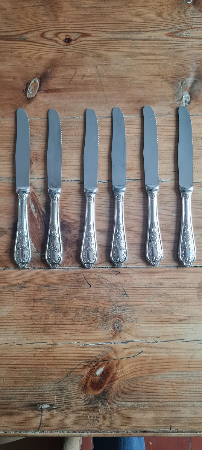 Service de 6 couteaux en inox