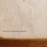 Gould lithograph enhanced hand hummingbird