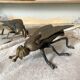 2 metal ashtrays with insect fly designs from the 1950s-60s.