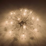 Dandelion Wall or Ceiling Lamp by Emil Stejnar for Rupert Nikoll