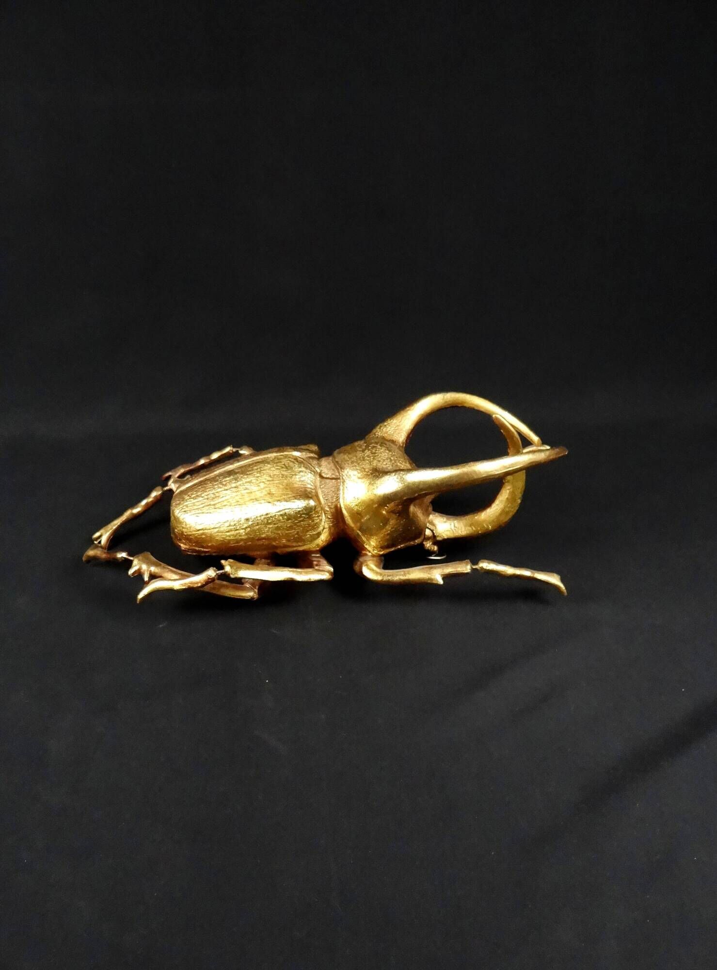 Contemporary style golden scarab wall sculpture in resin and metal