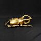 Contemporary style golden scarab wall sculpture in resin and metal