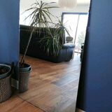 Bevelled mirror 104 x 66.5 CM