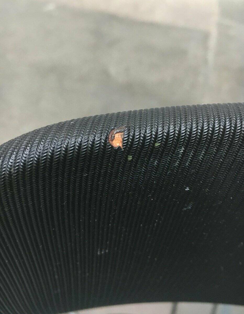 German Mid-Century chair SE 66 by Egon Eiermann for Wilde + Spieth, 1950s