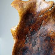 Large monoxyle bowl made of dark raw olive wood from the 1950s.