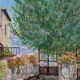 Oil painting – Village scene