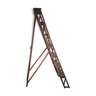 Ancient stepladder