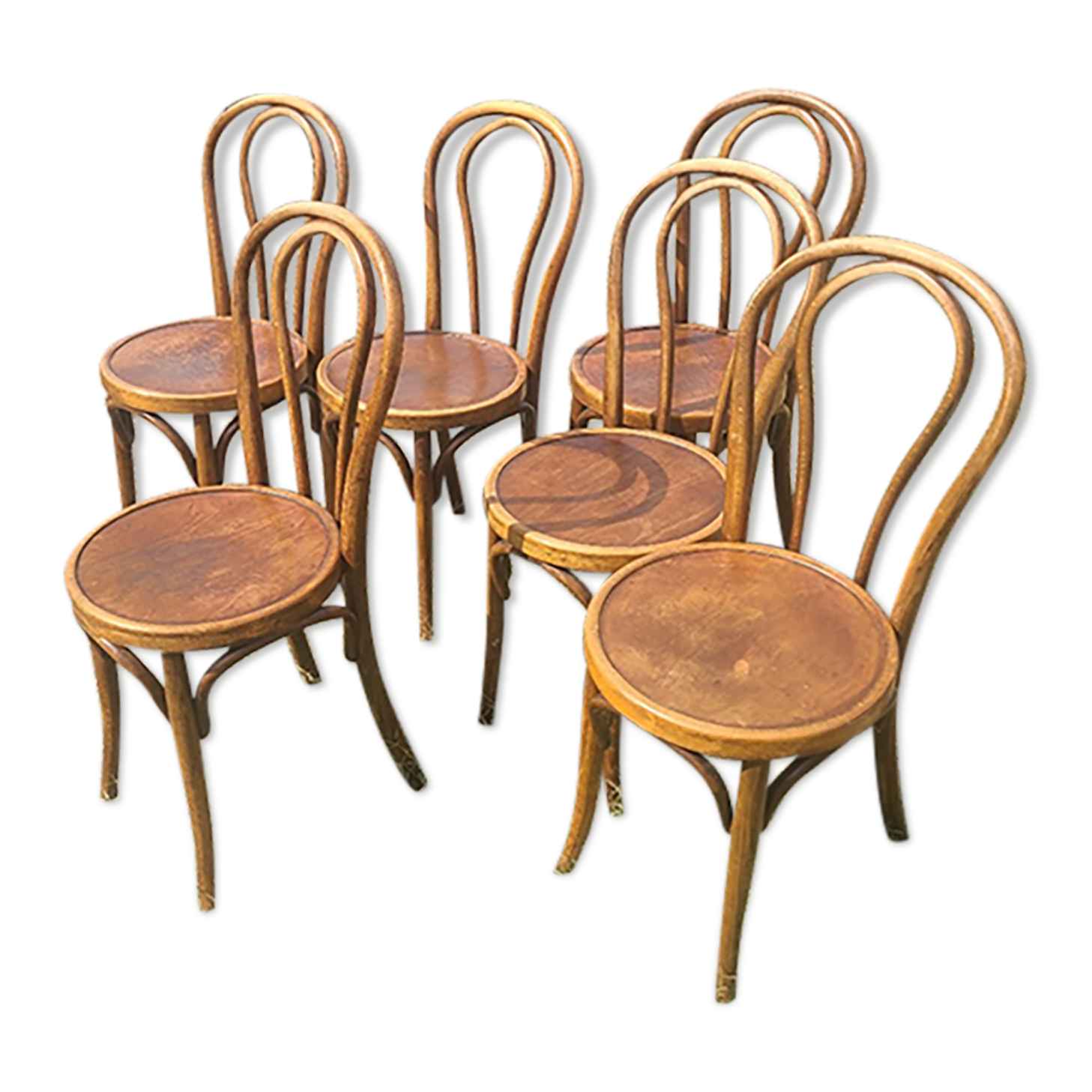 6 bentwood chairs early 20th