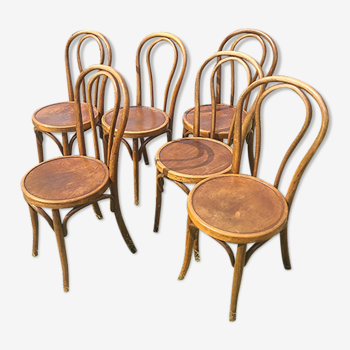 6 bentwood chairs early 20th