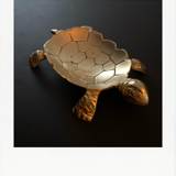 Brass turtle